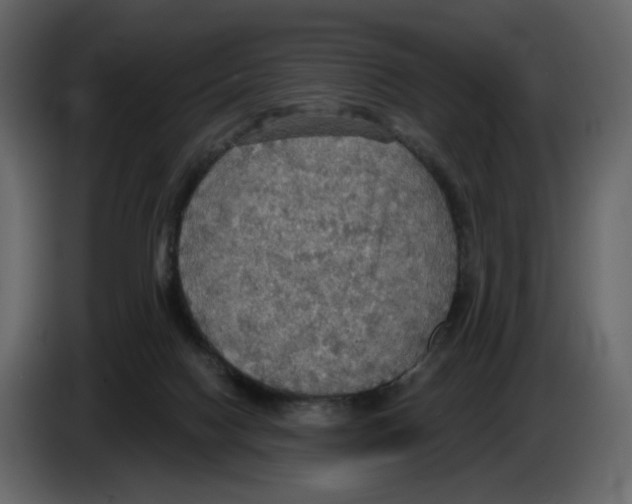 X0000084540074200703231724