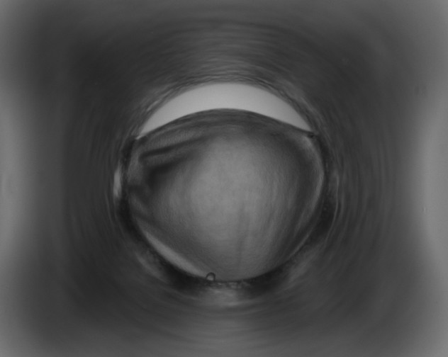 X0000084540076200703231724