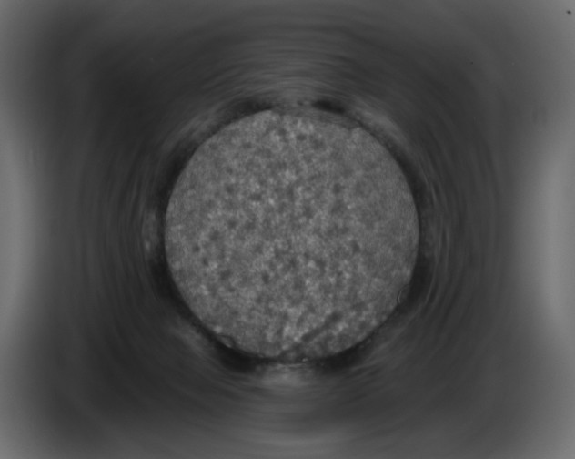 X0000084540077200703231724