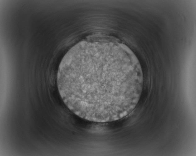 X0000084540078200703231724