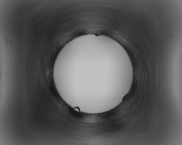 X0000084540079200703231724