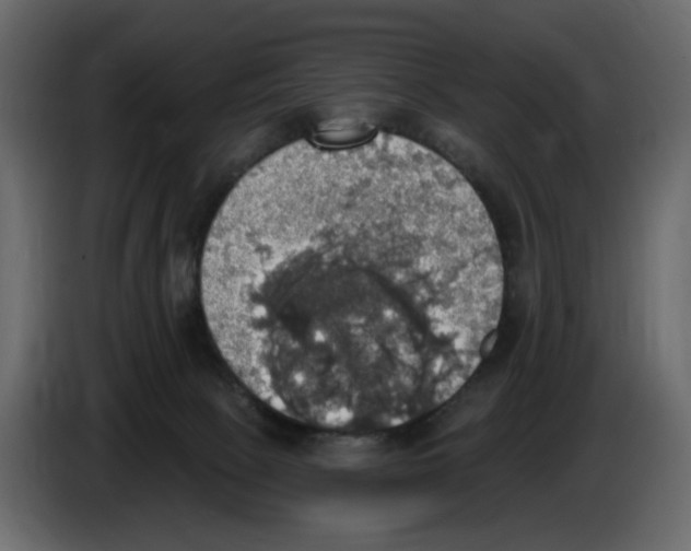 X0000084540081200703231724