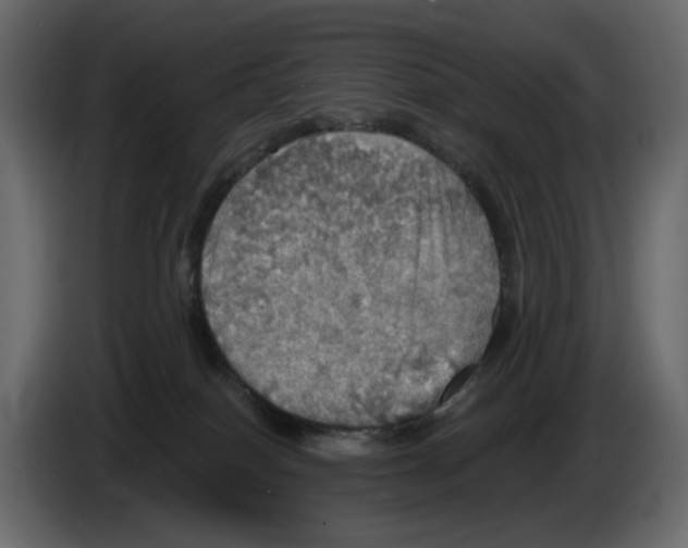 X0000084540086200703231724