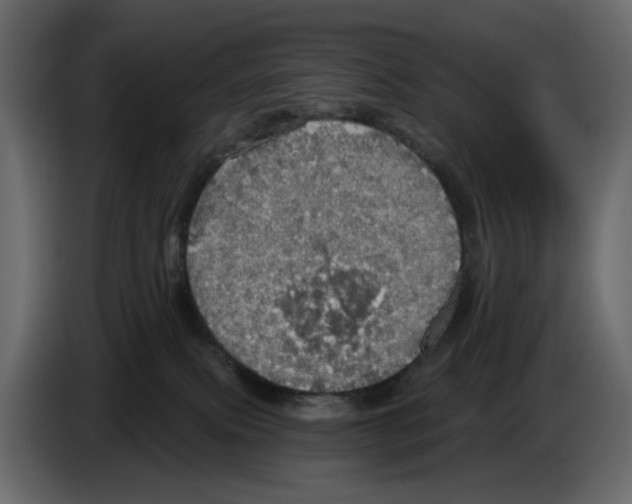 X0000084540087200703231724