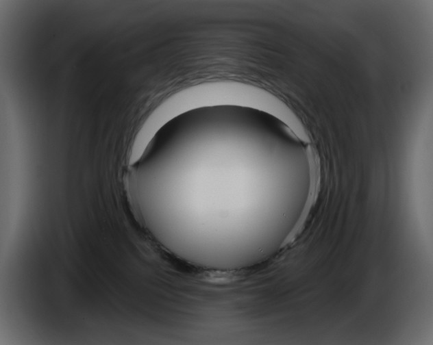 X0000084540088200703231724