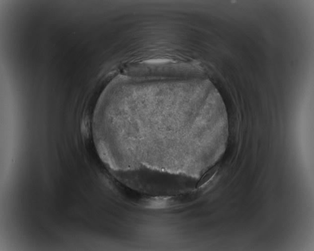 X0000084540090200703231724