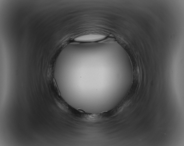 X0000084540092200703231724