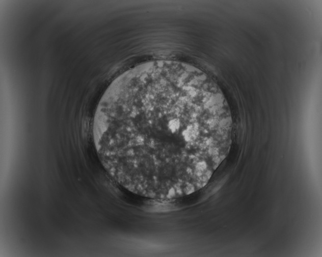 X0000084540093200703231724