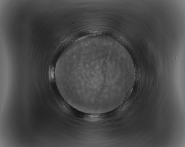 X0000084540095200703231724