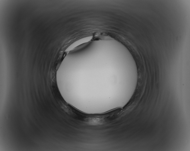 X0000084540096200703231724