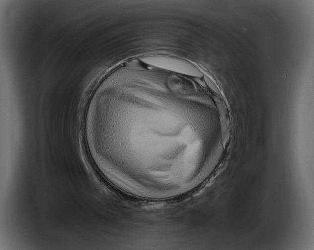 X0000084540097200703231723