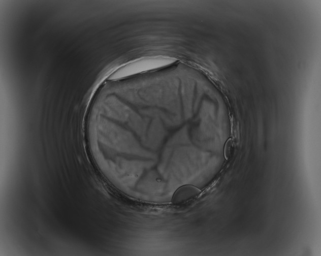 X0000084540099200703231723