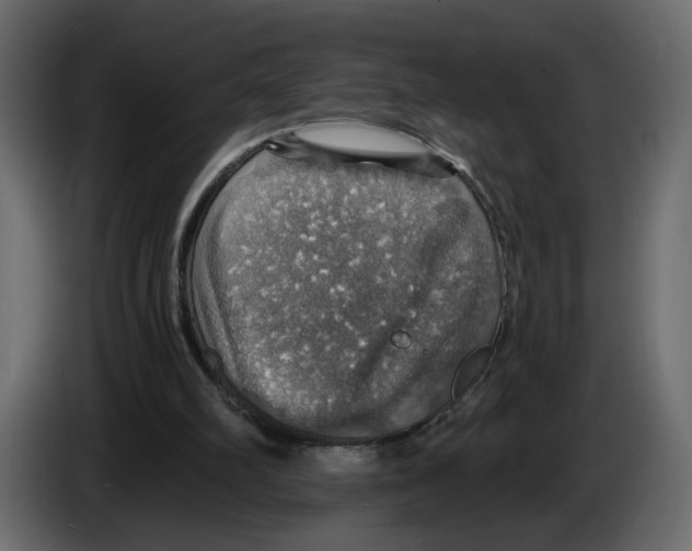 X0000084540102200703231723