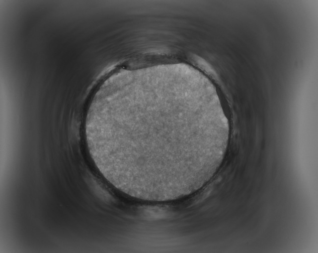 X0000084540106200703231723