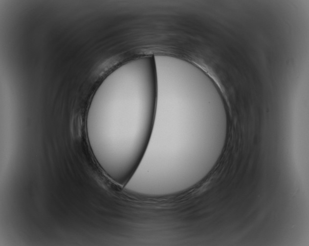 X0000084540109200703231723