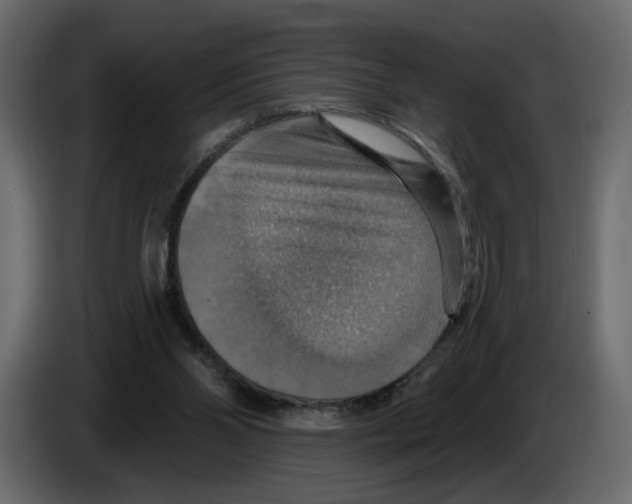 X0000084540110200703231723