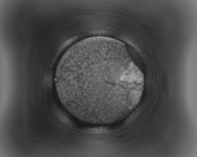 X0000084540112200703231723