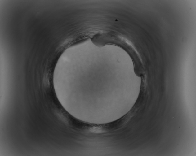 X0000084540114200703231723