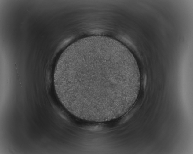 X0000084540116200703231723