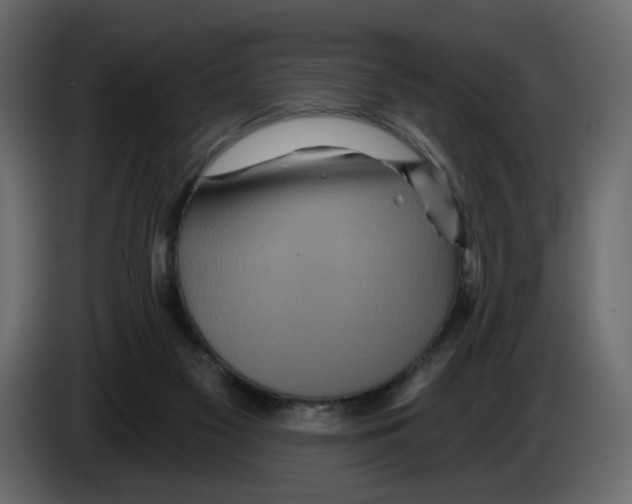 X0000084540117200703231723