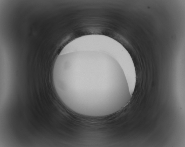 X0000084540120200703231723