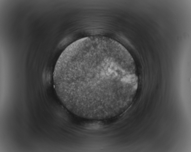 X0000084540124200703231723