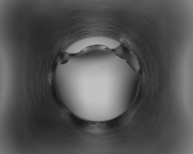 X0000084540125200703231723