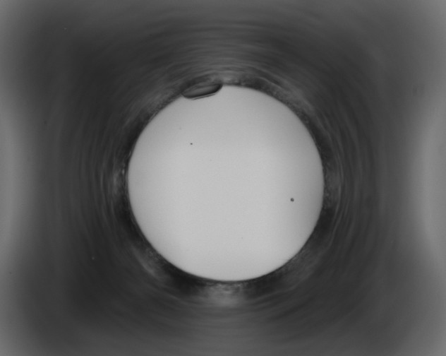 X0000084540126200703231723