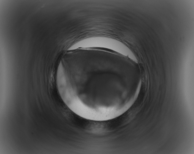 X0000084540127200703231723