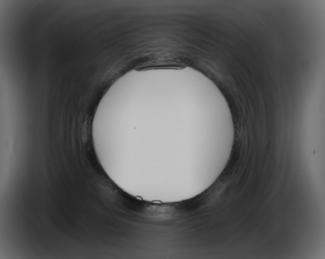 X0000084540133200703231723