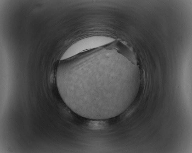 X0000084540137200703231723