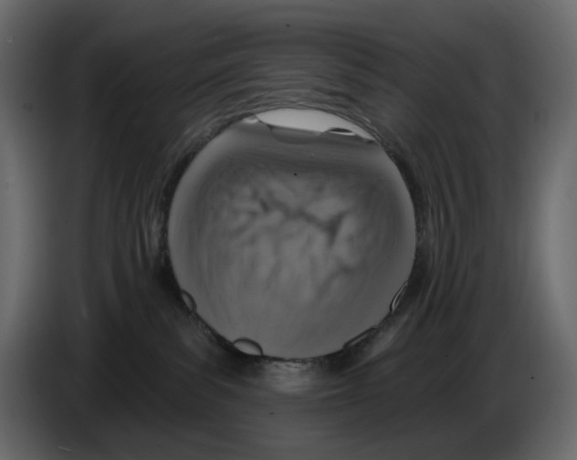 X0000084540139200703231723