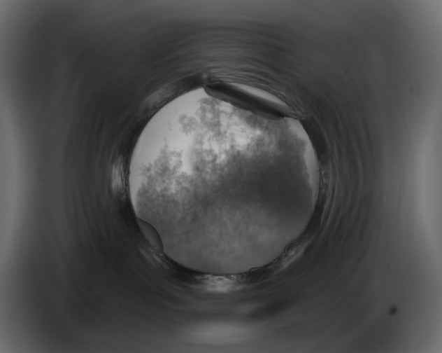 X0000084540143200703231722