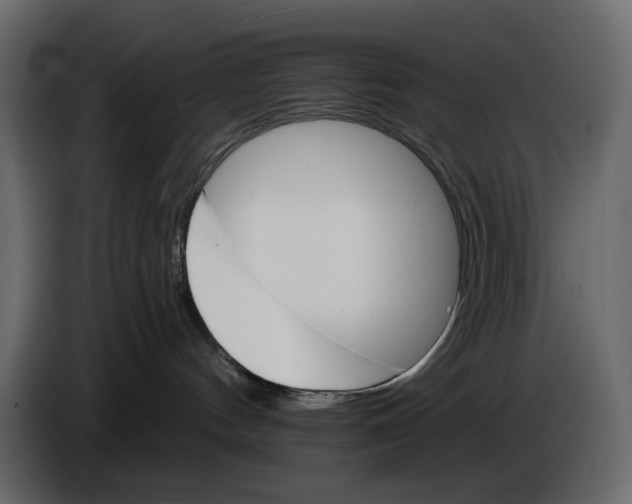 X0000084540144200703231722