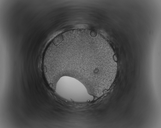 X0000084540146200703231722