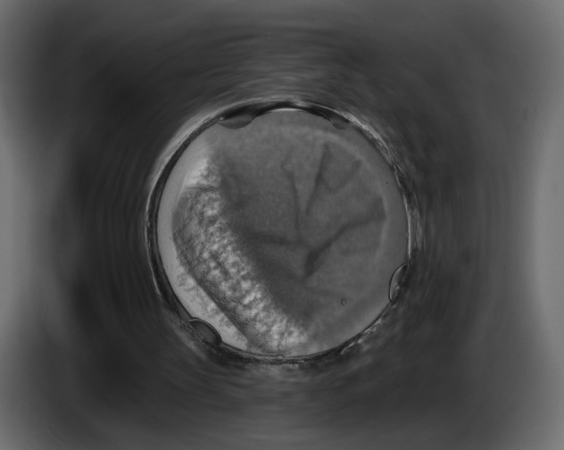 X0000084540147200703231722