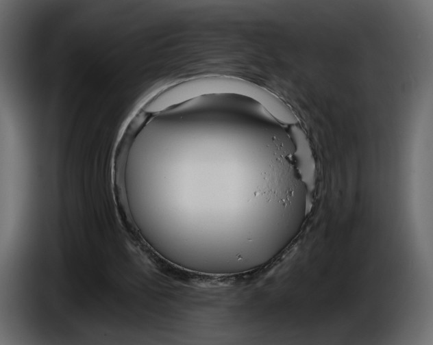 X0000084540148200703231722