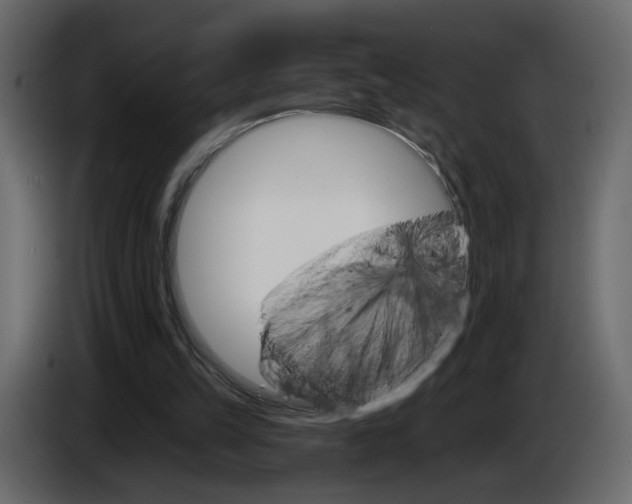 X0000084540149200703231722