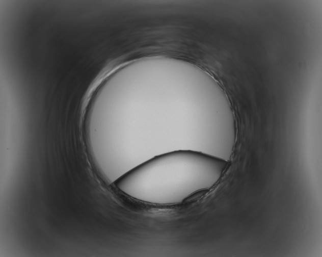 X0000084540150200703231722