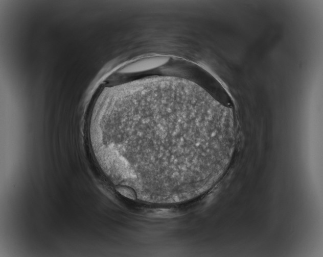 X0000084540151200703231722