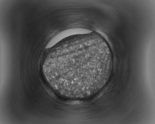 X0000084540153200703231722