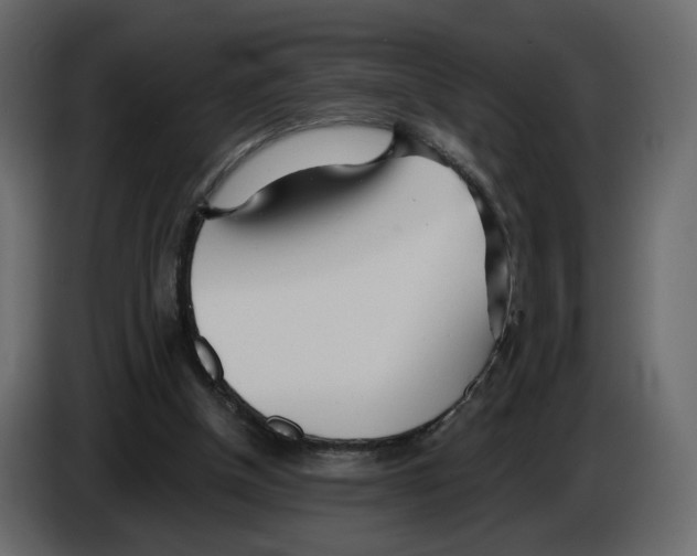 X0000084540154200703231722