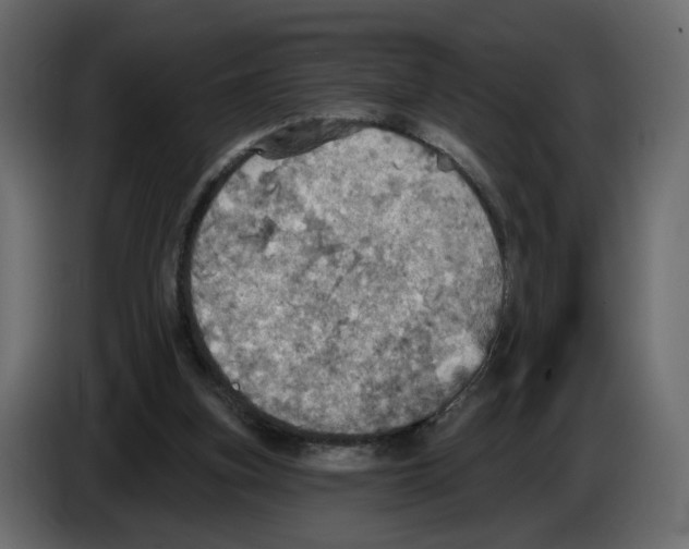 X0000084540155200703231722