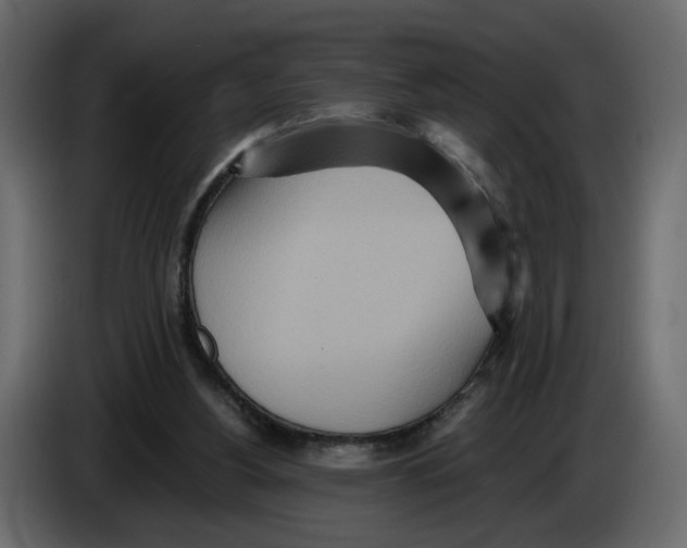 X0000084540156200703231722