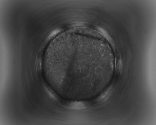 X0000084540157200703231722