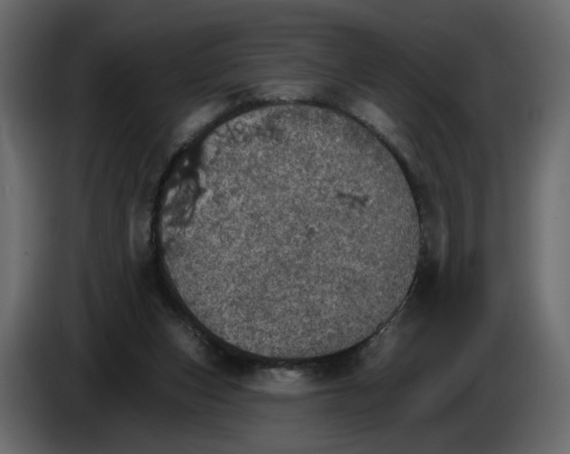 X0000084540159200703231722