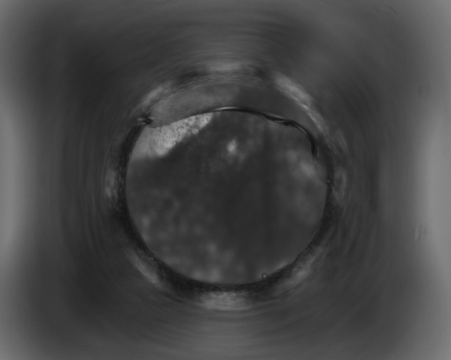 X0000084540161200703231722