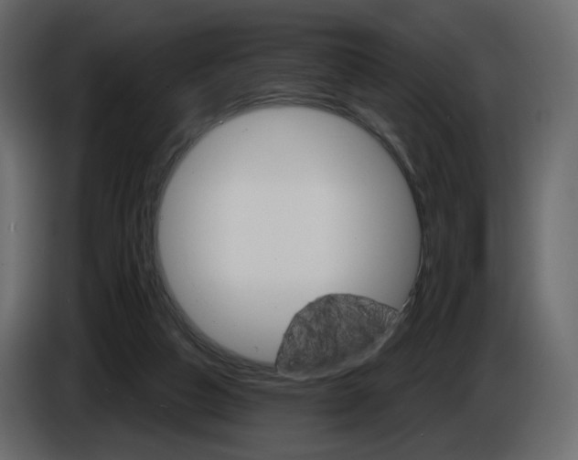 X0000084540162200703231722