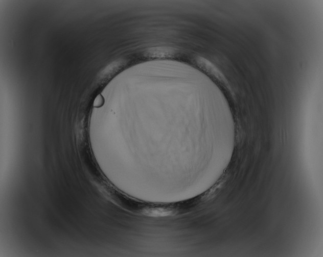 X0000084540163200703231722