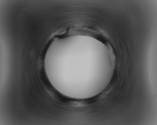 X0000084540164200703231722